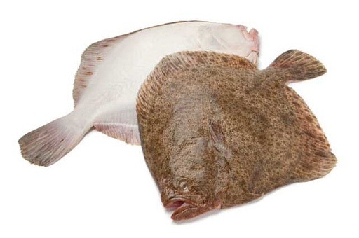 Turbot - entier