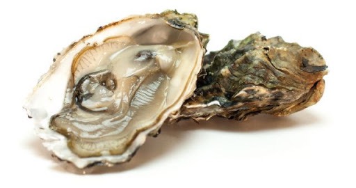 Huîtres creuses de Zélande n°3