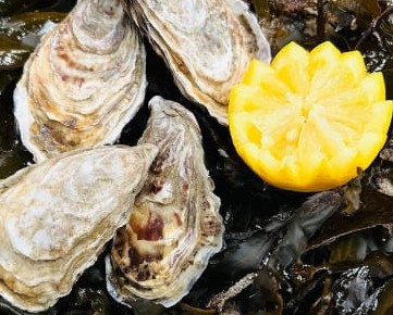 Huîtres creuses de Normandie n°3