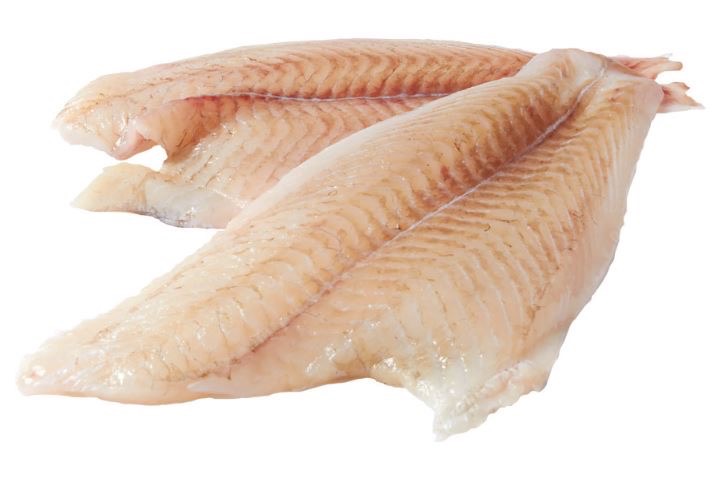 Turbot - filet