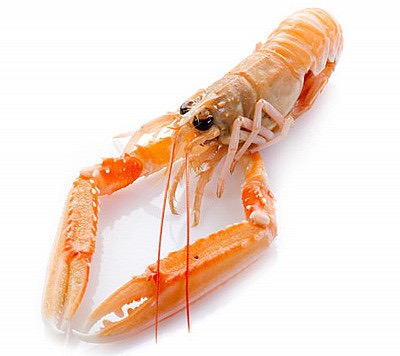 Langoustines - cuites