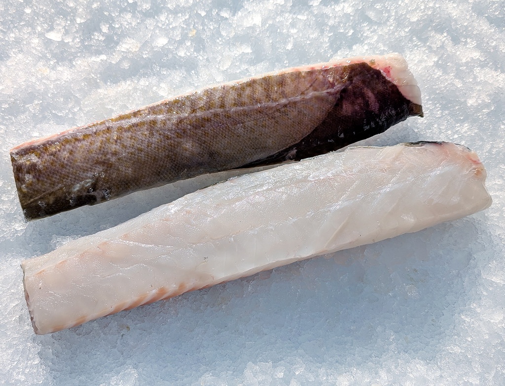 Cabillaud Skrei - dos