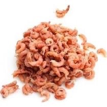 Crevettes Grises de la Mer du Nord