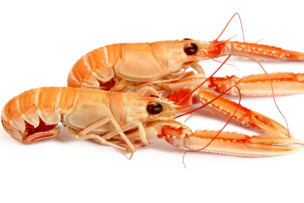 Langoustines - cuites