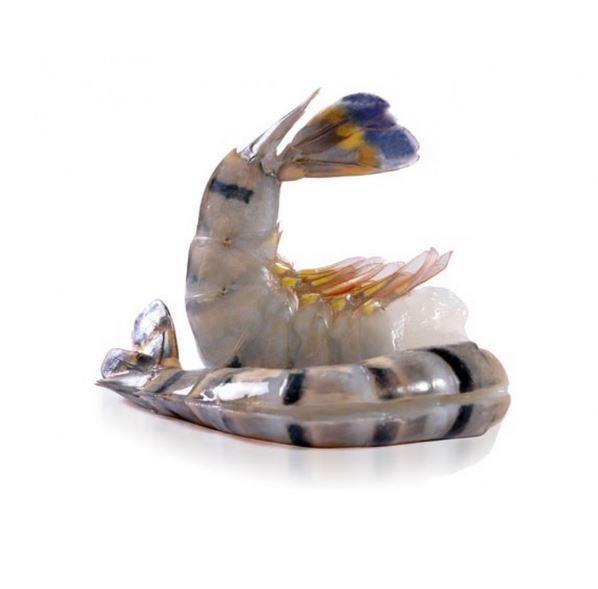 Scampis non épluchés - Easy Peel *