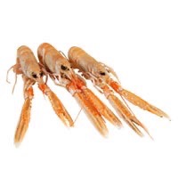 Langoustines entières *