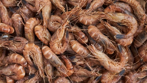 Epluchures de crevettes grises