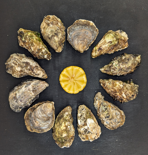 Huîtres - Sélection Au Grand Bleu