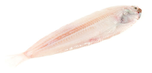 Solette Mer du Nord