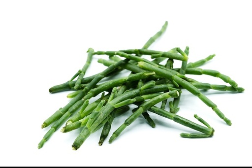 Salicorne - Légume de mer