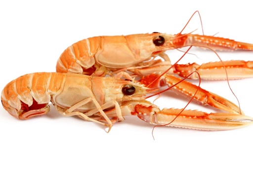 Langoustines - cuites