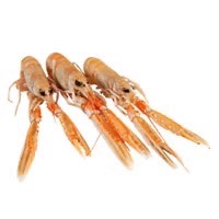 Langoustines entières